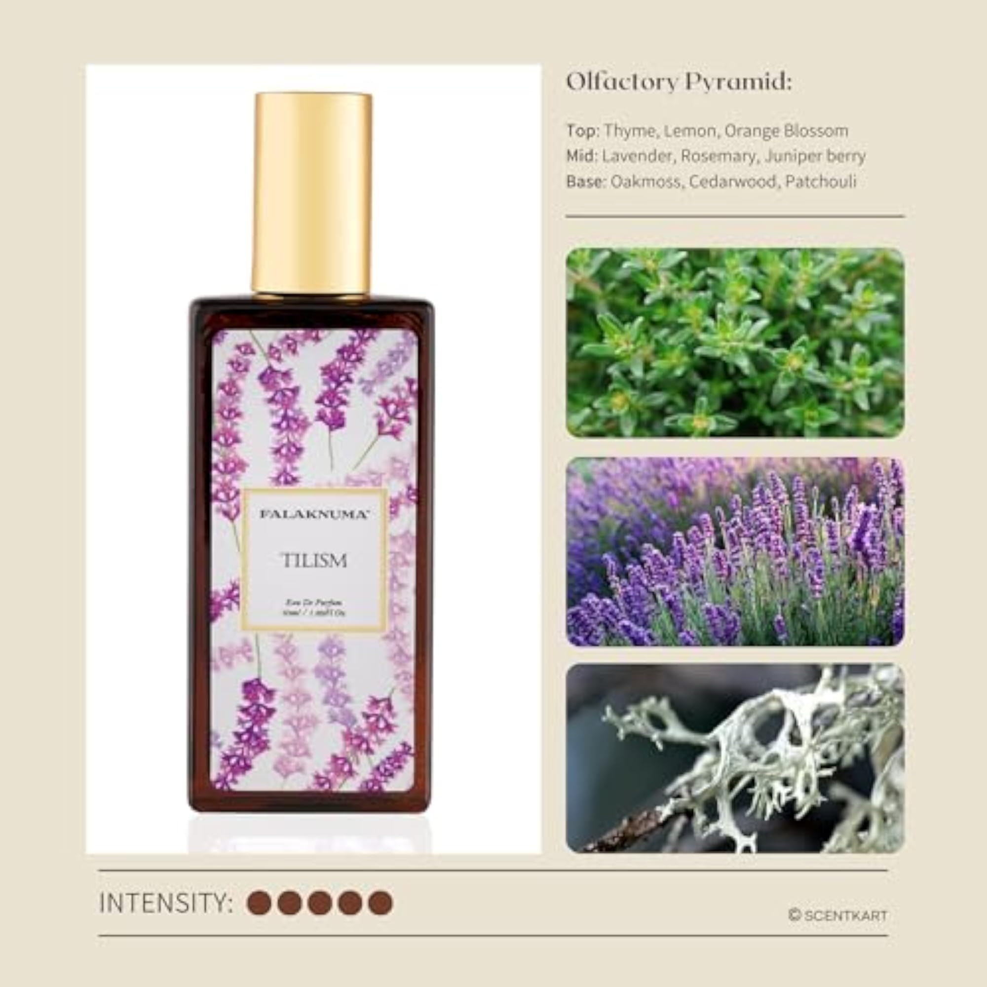 Tilsim Perfume, 50ml, Spicy Lavender & Patchouli Notes