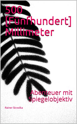 500 [Fünfhundert] Millimeter: Abenteuer mit Spiegelobjektiv (Galerie für Kulturkommunikation Berlin. Gesamtkataloge - Galerie für Kulturkommunikation Berlin. Complete catalogues 12)