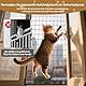 2 x 3M Katzennetz für balkon Drahtverstärkt, katzengitter Balkonschutz mit Befestigungsseil, Nägel,Langlebig, Biss-und reißfestes,UV-beständig,Wetterfest,katzennetz für Balkon Terrasse Fenster Türen