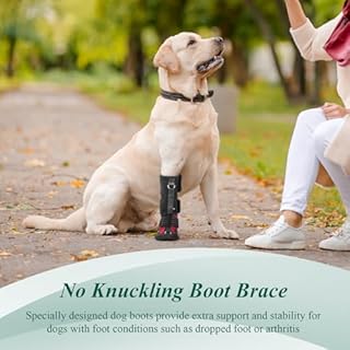 Strap-On Drop Foot Brace (No Knuckling Boot Brace) for Dogs— Corrective Dog Shoes to Safely Lift Toes for Foot Issues, Arthritis, and improving Walking gait in Dogs(S)