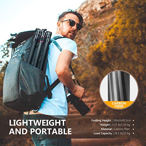 Neewer Carbon Fiber 66 Inches/168 Centimeters Camera Tripod Monopod With 360 Degree Ball Head,1/4 Inch Quick Shoe Plate,Bag For Dslr Camera,Video Camcorder,Load Up To 26.5 Pounds/12 Kilograms #TOP5