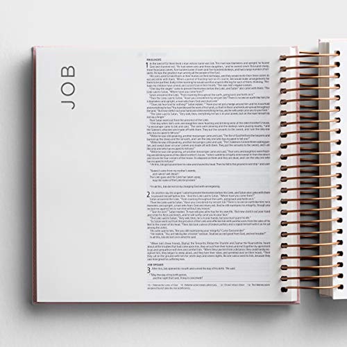Illustrating Bible NIV Pink