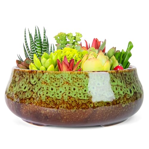 ARTKETTY Succulent Plant Pot - 20 CM Large Bonsai Pots with 