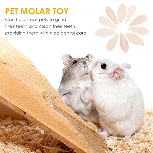 Cabilock Brinquedo molar para animais de estimação, 10 peças, brinquedo de morder de papagaio, espin