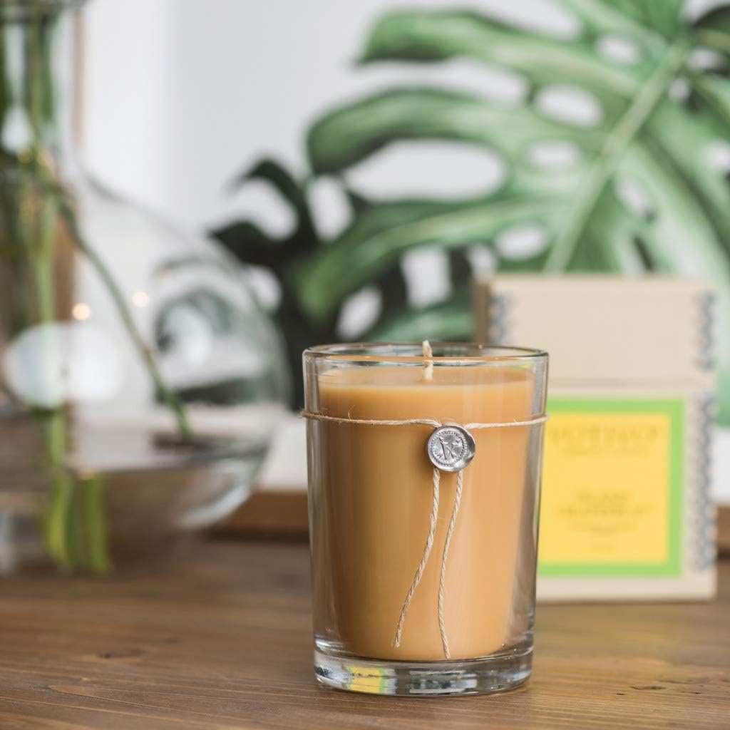 VOTIVO 6.8oz Aromatic Candle-Island Grapefruit - Image 6