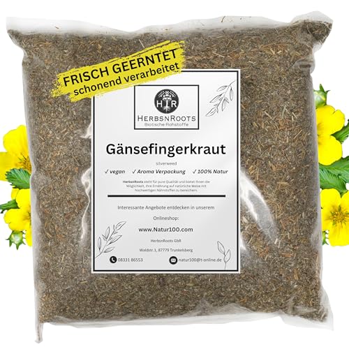 Gänsefingerkraut 500g • Anserine • Silberkraut • 'Krampfkraut' • Erste Wahl • hoher Wirkstoffanteil • HerbsnRoots
