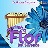  Faldas Cortas