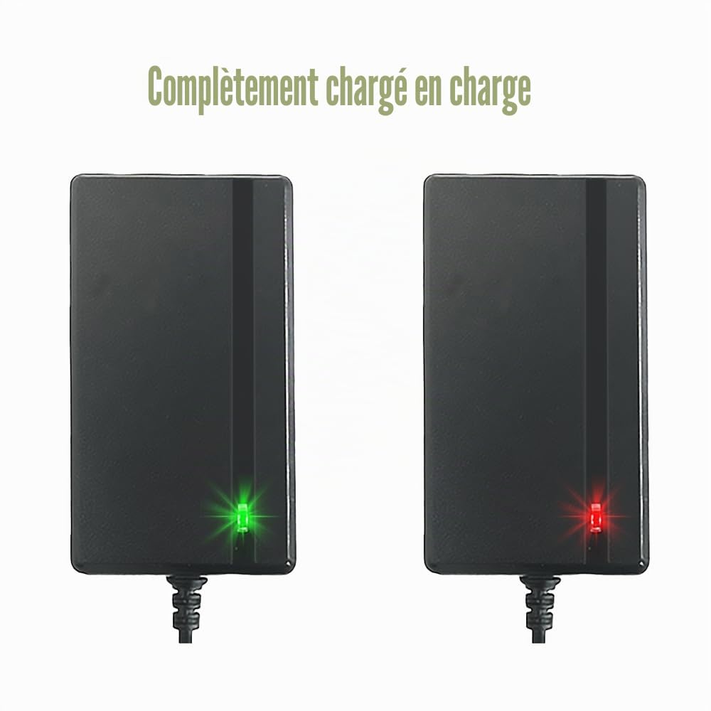 Chargeur de Voiture Électrique pour Enfants POLYNX 24V 1000 mA, Chargeur de Batterie 24V 1A avec Câble de Charge Directe