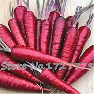 SVI fresca 100 pezzi di carota sementi di ortaggi per il colore rosa scuro impianto:SEEDS