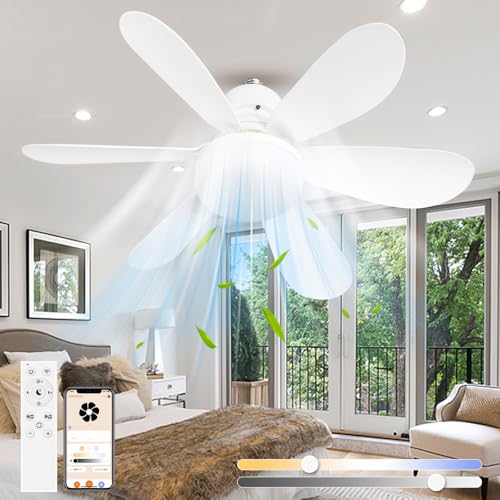 �yAlexa/Google Home�Ή��z�t�@���t���V�[�����O���C�g E26���� �p�^���|���\�P�b�g�t�� �V�[�����O�t�@�����C�g 6�� 8�� �T�[�L�����[�^�[ ��@ DC���[�^�[ �X�}�z �����R�����u���� ���K�i���� ���F ���K�i���ʒ��� ���t��]�؂��