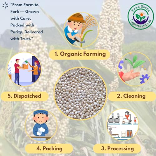 Image of Organic White Sorghum Flour (5 Kg) /white Cholam /jovar /jonna /jola For Eating And Cooking By EYWA