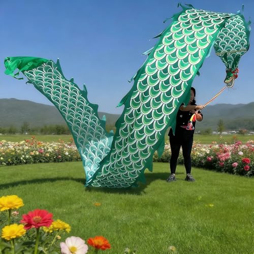 EXCLURA Carioca Malabares Streamer de Danza del Dragón con Cabeza de Dragón & Cuerda de Giro, Cinta Dragón de Escamas Chinas para Actuaciones, Combo de Accesorios(Green,8 m (26 ft))