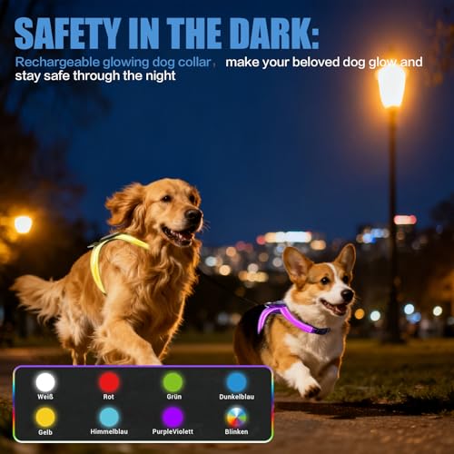 LED Leuchtgeschirr für Hunde, Wiederaufladbares Beleuchtetes Hundegeschirr Verstellbar, 3-Lagiges Air Mesh und 7 Lichtfarben Atmungsaktivität für Mittelgroße bis Große Hunde, Nachtsicherheit
