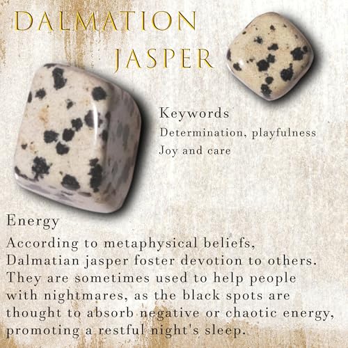 Image of Dalmatian Jasper Chips Bulk 1lb, 600+ Pieces, 0.4-0.9in Natural Stones
