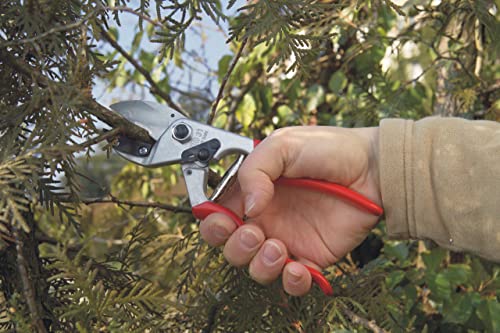Felco Tesoura de poda (F 31) - podas de jardim de bigorna suíça de alto desempenho