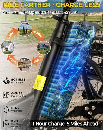 Skeri Electric Trike, 500W(Peak 1000W) Electric Tricycle for