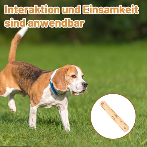 PjuQow 4 Stück Kaffeeholz für Hunde, Natürliche Kauwurzel für Hunde und Welpen, Langlebige Kauspielzeuge für Zahngesundheit und Stressabbau, Olivenholz Hund