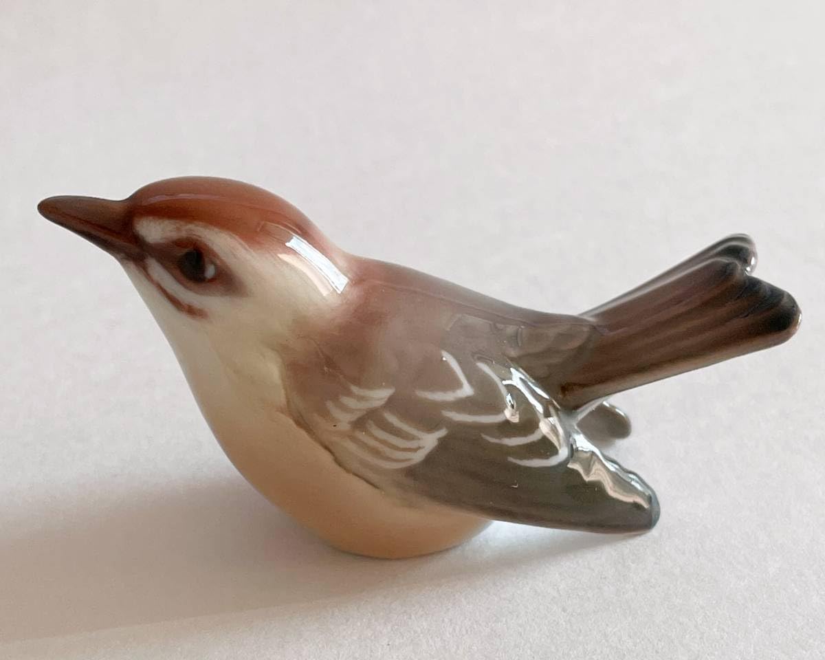 Amazon.co.jp: ダール イェンセン Dahl Jensen キクイタダキ 鳥