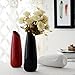 Jusalpha 9 Inches Tall Elegant Home Decor Ceramic Vase 01 (Black, 1)
