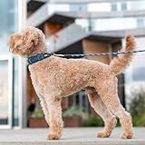 DOG Copenhagen Urban Explorer 3.0 Halsband, Black, M