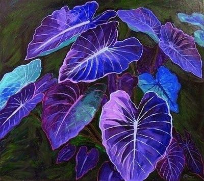Fresh 100pcs Caladium Bicolor Flower Seeds for Planting Blue Mix