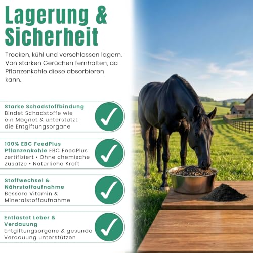 Futterkohle für Pferde 10L, Natürlicher Futtermittelzusatz 0-3mm|C44-Zittau