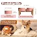 Hundenapf Set Erhöht Hunde Napfset - Doppel Napf Hund Keramik mit rutschfestem Ständer - Erhöhte Futterstation Hund 2er Set für Futter und Wasser - Ideal für kleine und mittelgroße Hunde - 2 x 850 ml