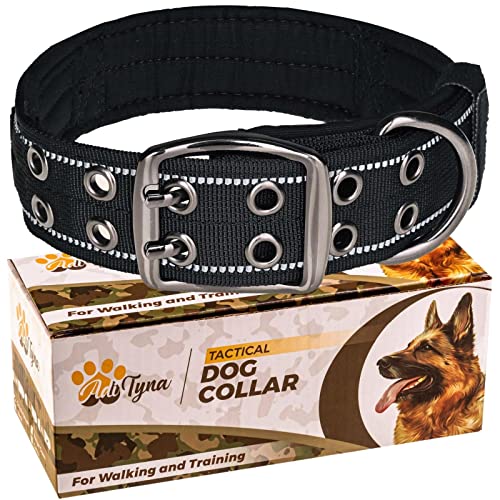 Best Cane Corso Dog Collars For Every Budget