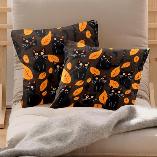 Housse de coussin chat noir velours doux 50x50 pour protéger vos canapés