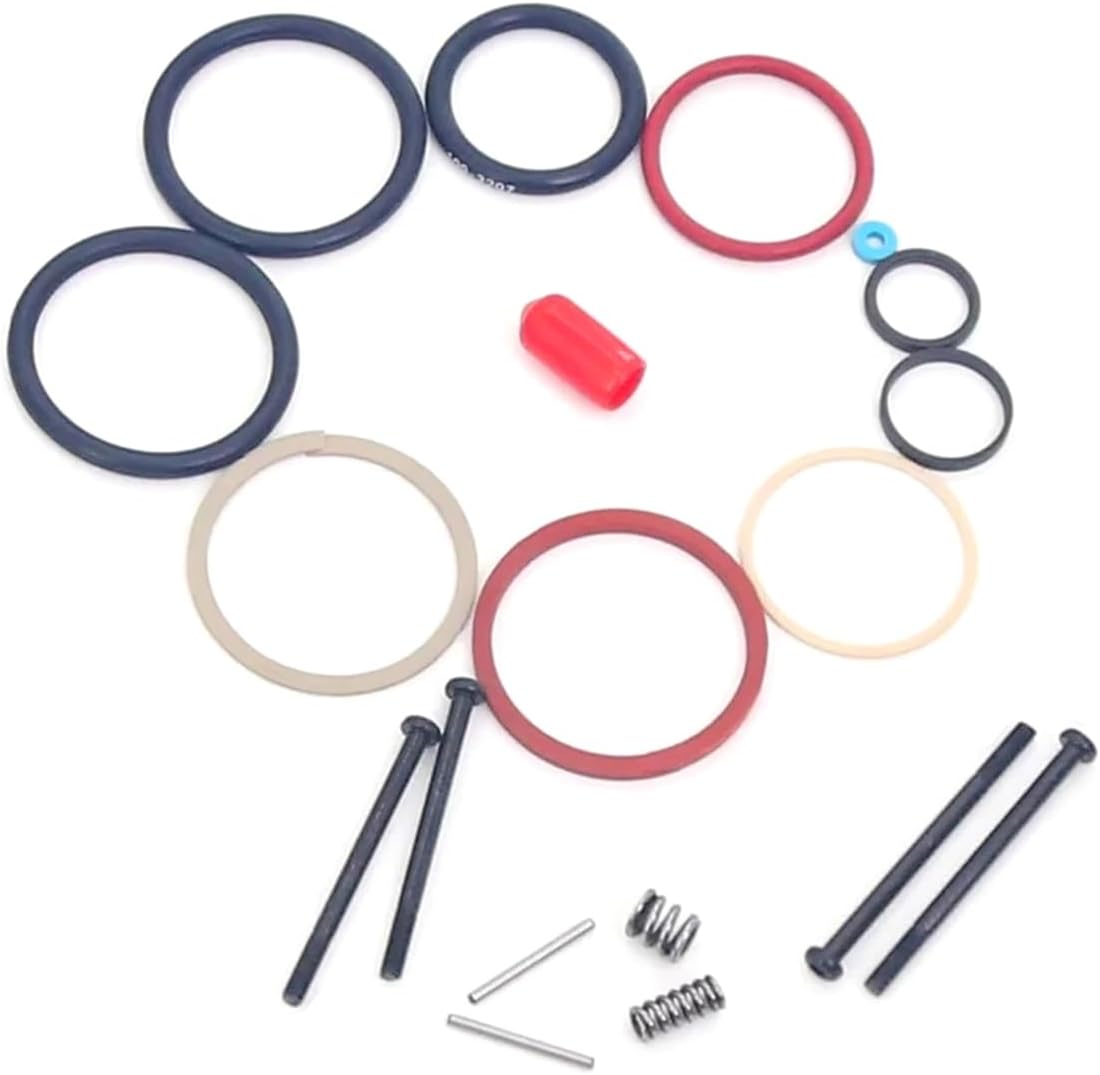 1Set Fuel HEUI Injector Repair Kit for Caterpillar C7C9 Oil Pump Repair Kits