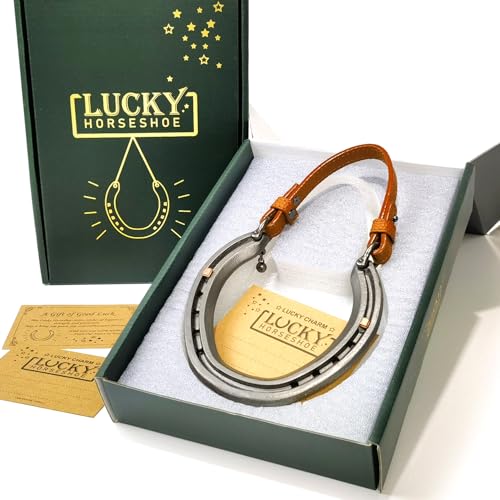 MatchWhiz Lucky Horseshoe Gift Sets, Horseshoe ornaments, ‌Handcrafted Meaningful Gift for Housewarming Wedding or Anniversary, Rustic Home Wall Decor, Includes Present Box and Message Card