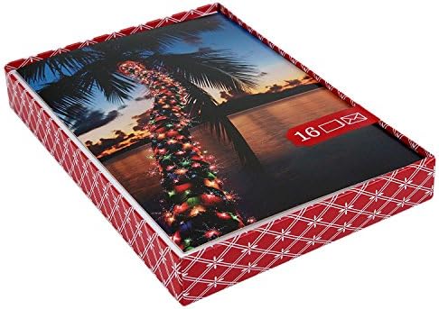 Image Arts Boxed Christmas Cards, Christmas Light Palm Tree (16 Cards with Envelopes)