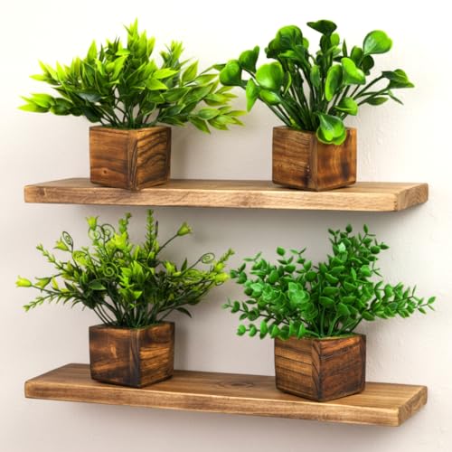 Image of Decorebugs Artificial Potted Plants in Wooden Pot (4 Pack) Eucalyptus Plants Small Plants for Home Decor | Office Decor |DB-8148