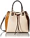Aldo Moriarity Bucket Bag