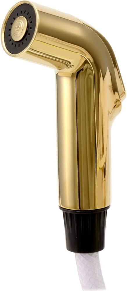Delta Faucet RP39345PB Spray and Hose Assembly, Polished Brass