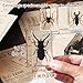 1st Heaven 4 Pcs Gothic Insect Specimens in Resin – Scorpion, Spider, Stag Beetle – Dark Creepy Specimen Collection for Halloween Decor & Curiosity Display – Includes ID Cards & Magnifying Glass