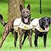 XDOG Weight Vest Harness for Dogs: Build Muscle, Improve Performance, Enhance Endurance, Optimize Health and Longevity. Address Anxiety Issues, Bad Behaviors and Promote Calmness. (Cooling Dog Vest).
