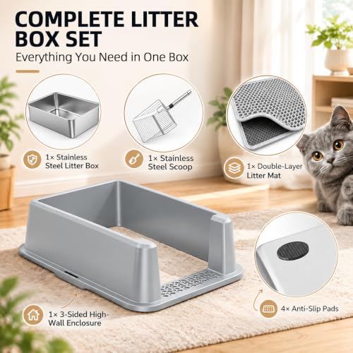 View 4
