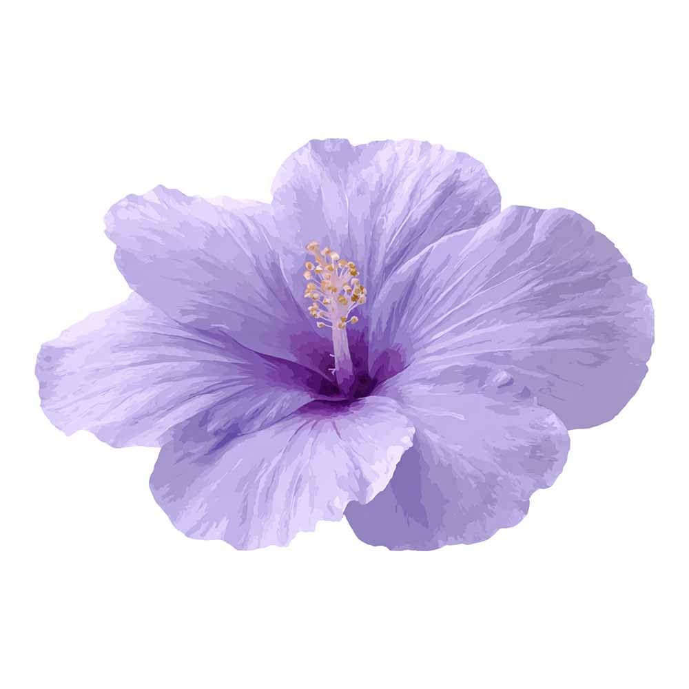 ZAMAEIU Nature Landscape Picture Hibiscus flower Large Modern Scenic Painting, for Living Room Bedroom Bathroom Dinning Room Home Office Wall Decor(Purple;)-50x70cm Unframed