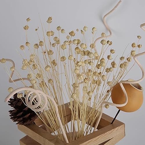 Lampe de bureau cadeau idéal déco table avec fleurs insérées unique