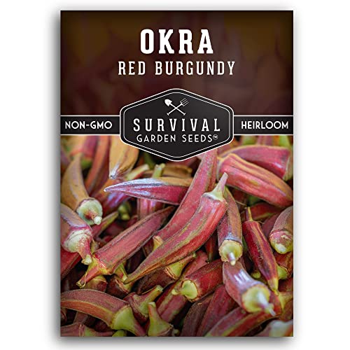 Survival Garden Seeds - Red Burgundy Okra Seed for Planting - Packet with Instructions to Plant & Grow Tender Burgundy Okra Pods in Your Home Vegetable Garden - Non-GMO Heirloom Variety Seed Planting