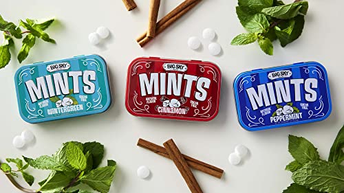 Big Sky Sugar Free Mints Peppermint | Sugarfree, No Artificial Colors or Flavors | Kosher Certified, Vegan, Gluten Free | Aspartame & Xylitol Free | 50 Count Tin (Pack of 6)