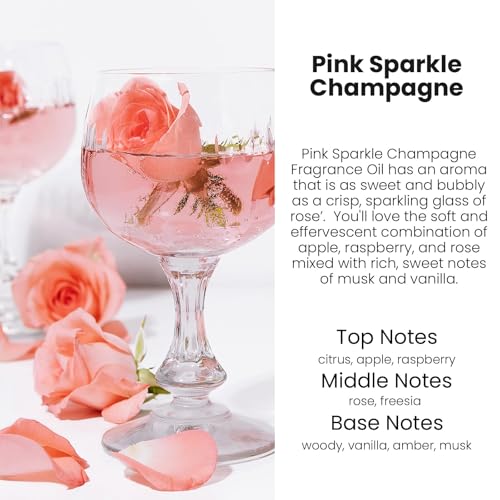 Image of HoogaLife Car Air Freshener Diffuser 2 Pack Hanging Air Freshener Diffuser - Pink Sparkle Champagne Fragrance Oil Air Diffuse r for Car, 45+ Days Long Lasting Fragrance Made in USA (P38 SP)