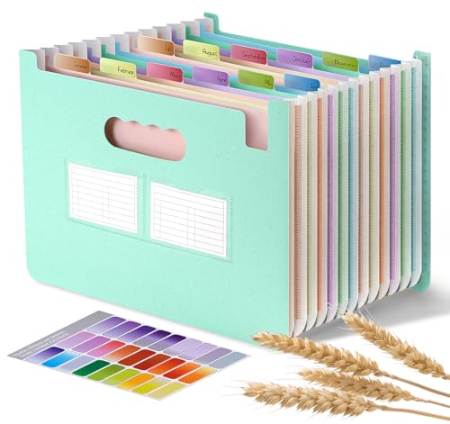 Accordion File Organizer with 13 Pockets
