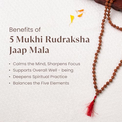Image of Astrotalk 5 Mukhi Rudraksha Mala 108+1 Beads | Certified 7mm Beads | Spiritual Protection, Focus & Positivity | Lord Kalagni Rudra Blessings | Rudraksha Mala Original for Men & Women