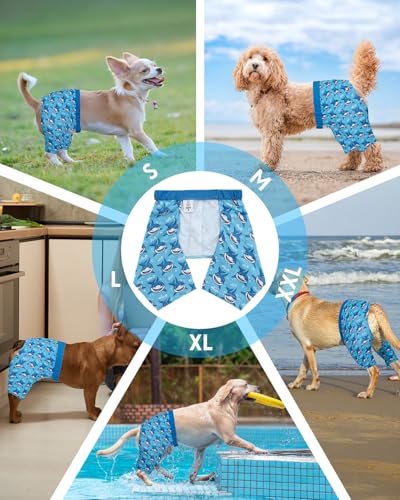 Image of CuteBone Dog Swim Trunks Swimsuit Durable & Comfortable - Quick-Dry, Adjustable Waistband Shorts, UV Protection Bikini- Perfect for Beach, Pool & Outdoor Fun, Shark DST02S