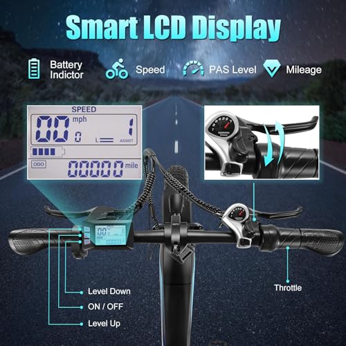 Wooken Electric Bike for Adults, Peak 1000W Motor