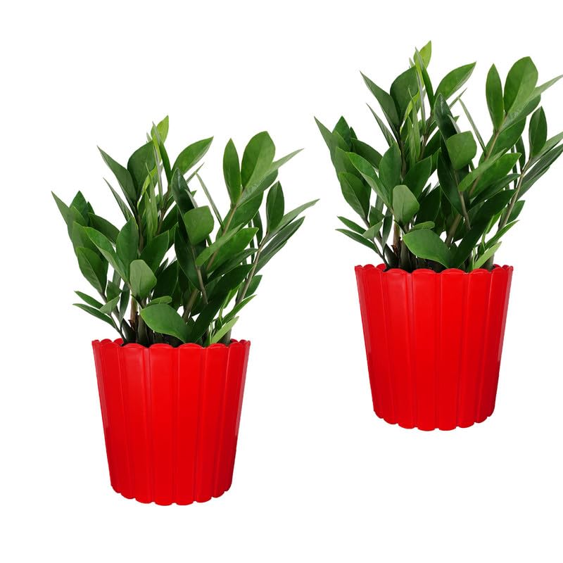 Image of GARDENS NEED 10 Inches Thai Round Flower Pot | Set of 2 | Red | Plastic Planter Pots for Indoor & Outdoor Home, Office & Balcony Decoration