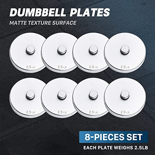 Northdeer 2.0 Upgraded Adjustable Steel Dumbbells Plates, Home Gym Workout For Men And Women, Compatible With Version 1.0 Dumbbell Set(2.5Lbsx8) - Sliver Version #TOP3