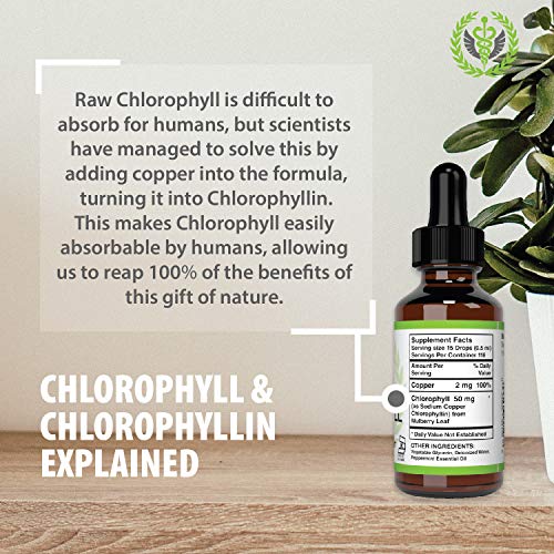 Reviews for Benevolent Nourishment Chlorophyll Liquid Drops Energy